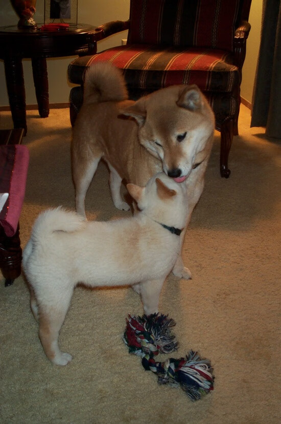 爱游戏下载-北京举办国际瑜伽大会，促进文化交流，北京国际瑜伽联盟学院