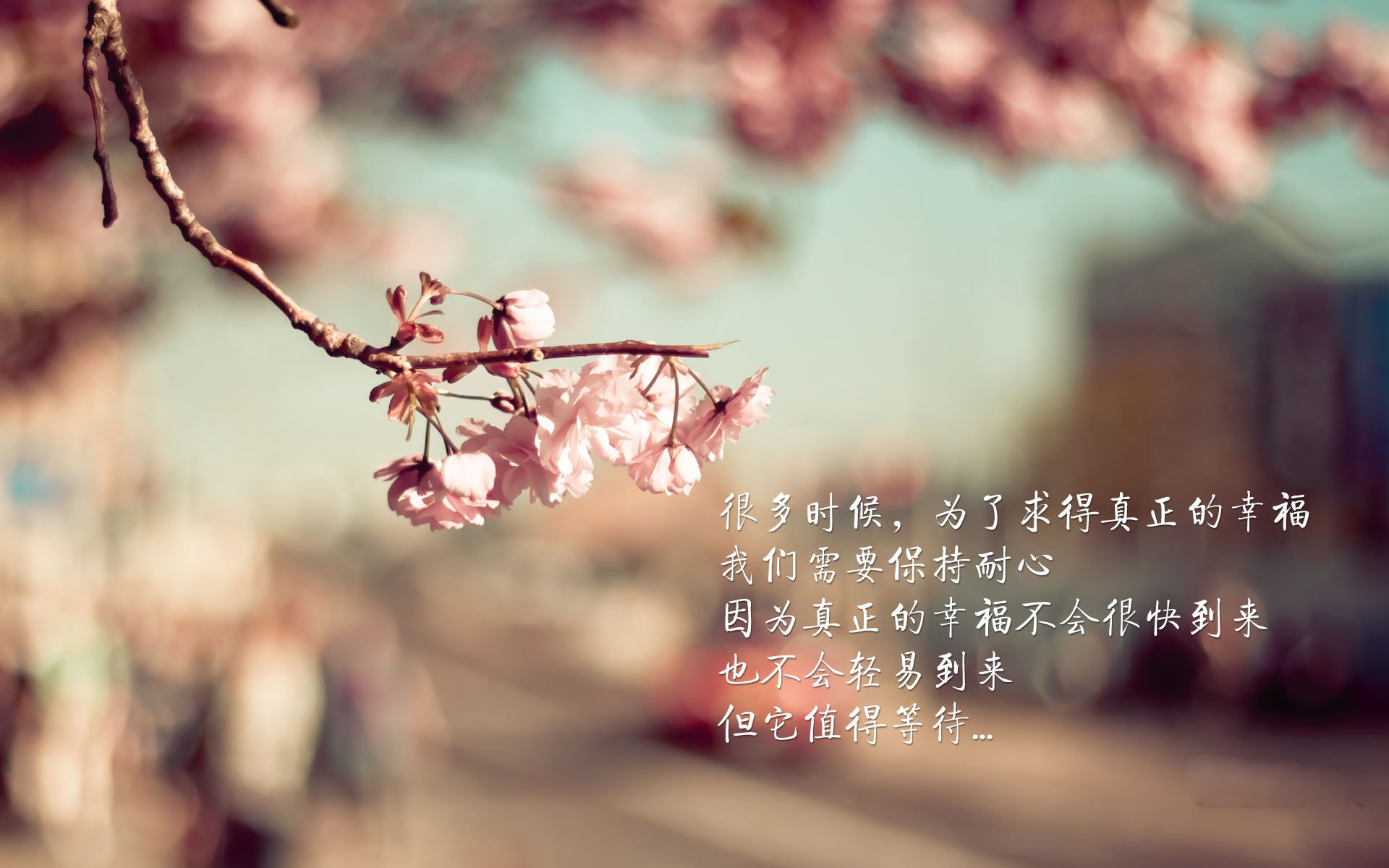 AYX官网-冠军车手的专属训练营：揭秘他们的每日习惯，冠军赛车手