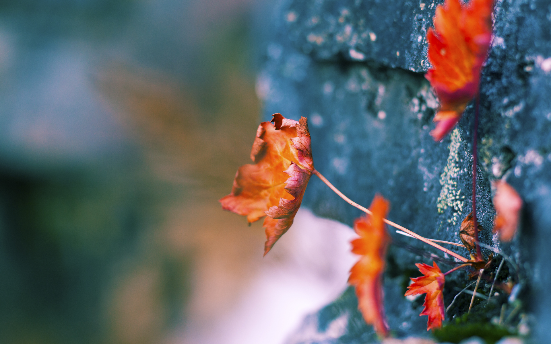 爱游戏中国官方网站平台-最激烈的角逐：冠亚军差距仅秒，冠军角逐是什么意思