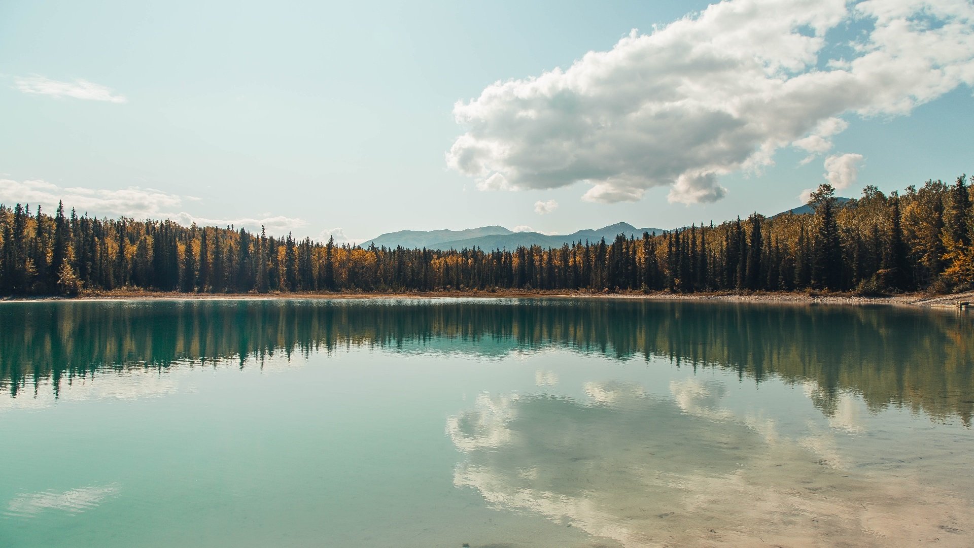 哪位教练在战术调整中最出色,胜率最高的教练