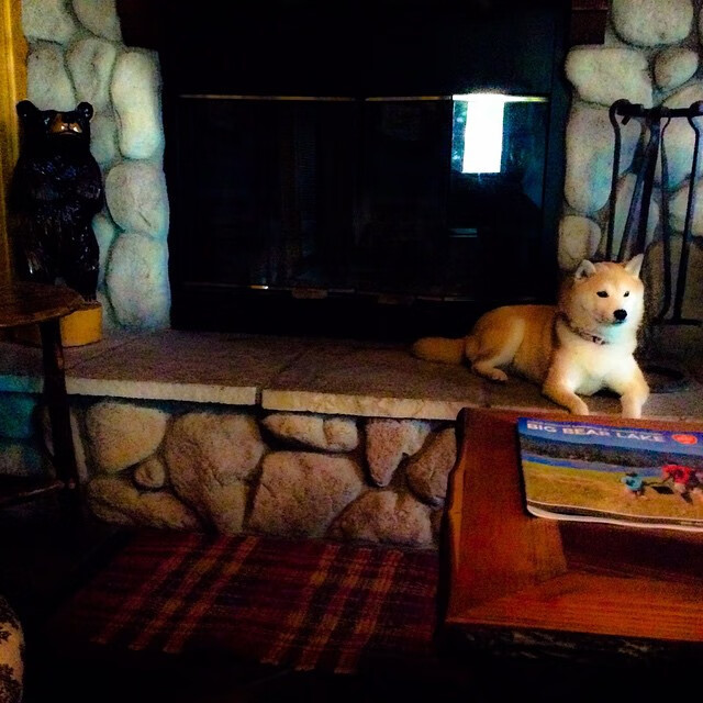 爱游戏中国官方网站平台-美国队在巴黎奥运会比赛中多次利用边路进攻，巴黎奥运会美国男篮