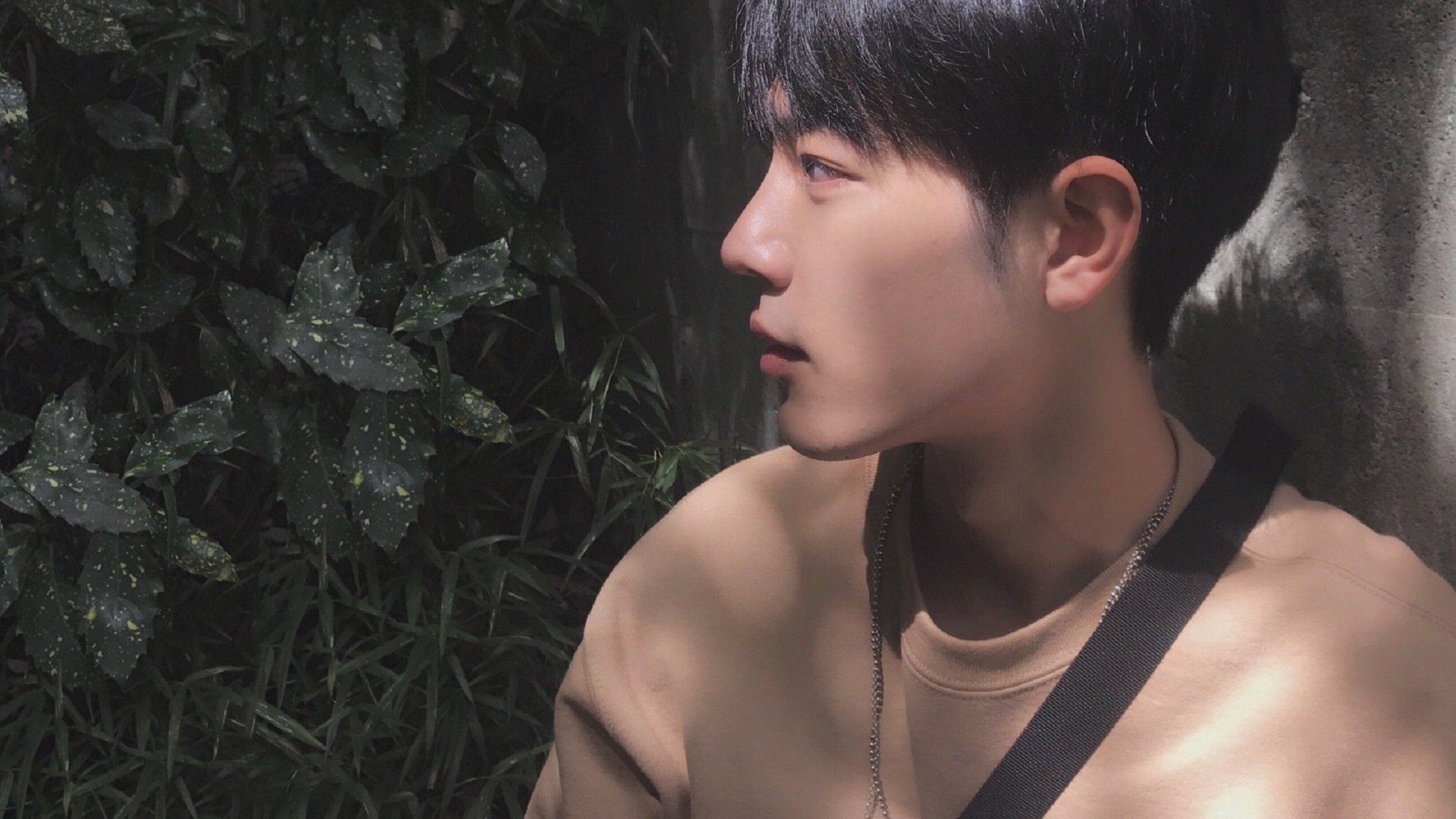 篮球运动员专项技能训练数据分析及应用研究,篮球职业球员训练计划