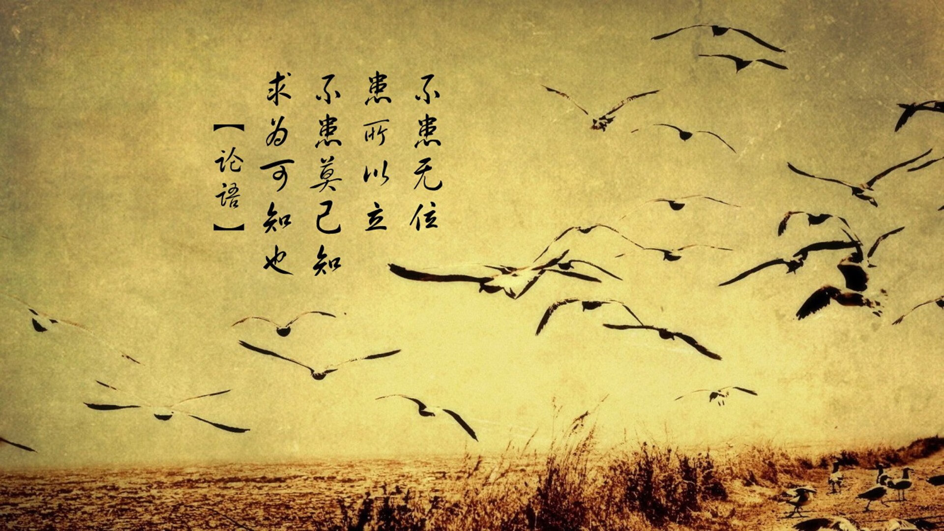 爱游戏体育平台-印度队在2024年国际乒联混合团体世界杯中的进步与挑战，印度世预赛