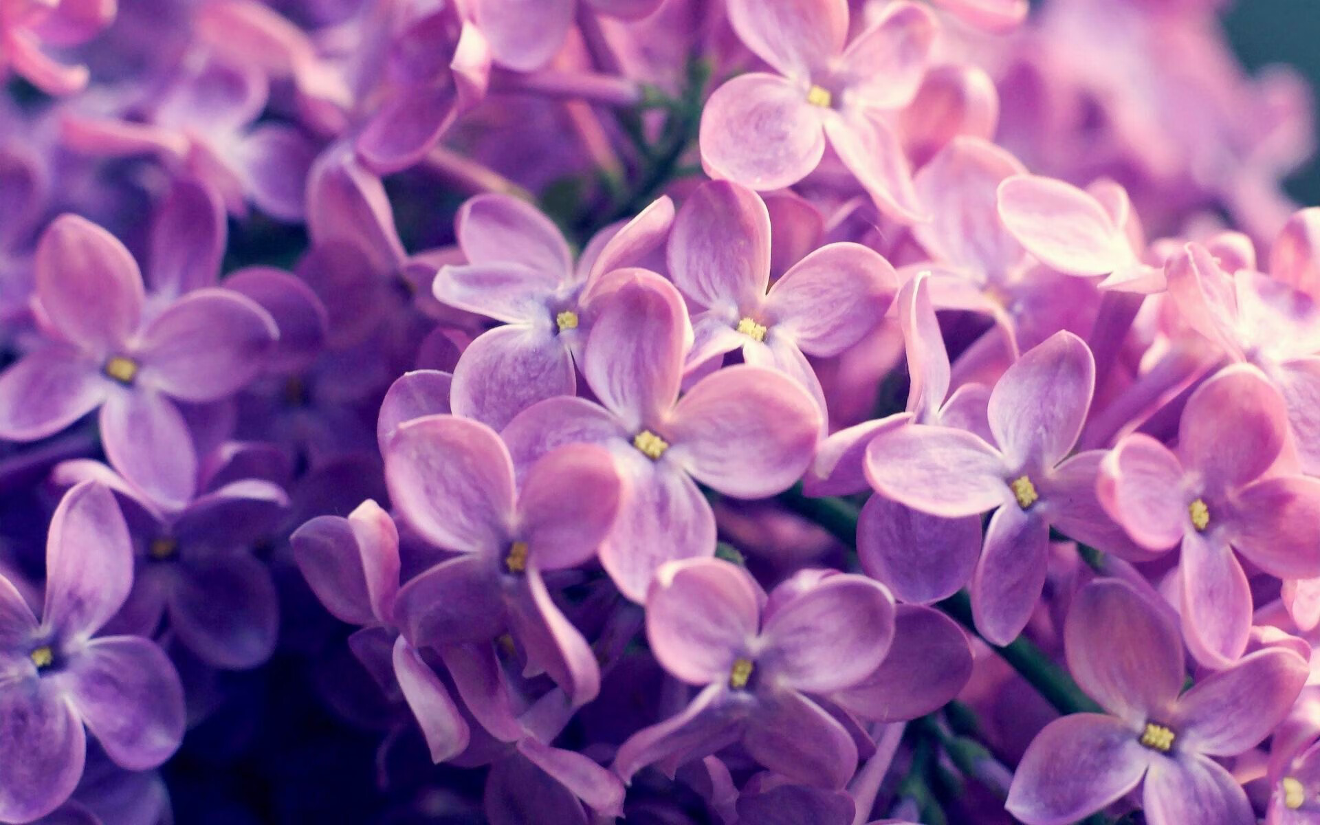 爱游戏娱乐网址-哈登半场助攻上双快船组织效率提升，哈登vs快船集锦